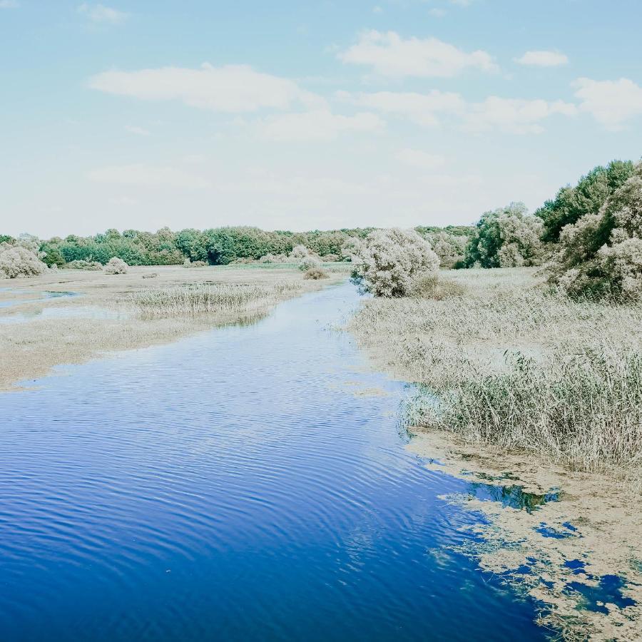 منزل الضيف Vendeuvre-sur-Barse  في Le Val Suzenay المظهر الخارجي الصورة